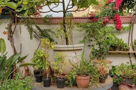 Eden Garden Villa By Jadecaps Nr Mg Road Garden Bangalore Exterior photo