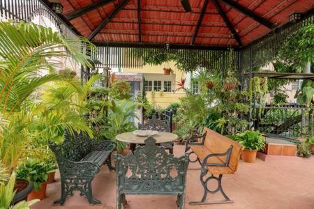Eden Garden Villa By Jadecaps Nr Mg Road Garden Bangalore Exterior photo